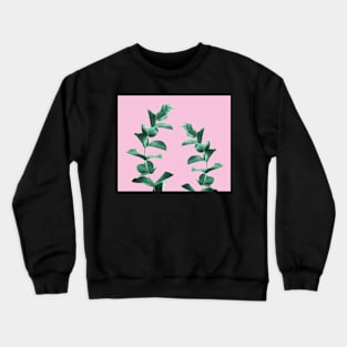 Eucalyptus Crewneck Sweatshirt